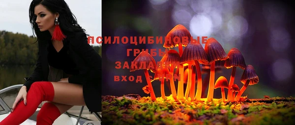 скорость Липки