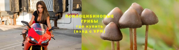 скорость Липки