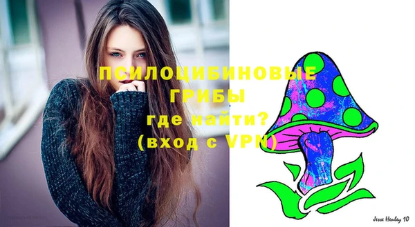 мет Лагань