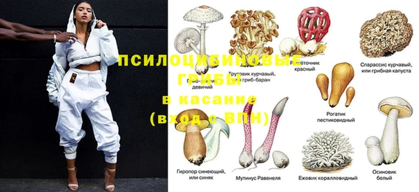 соль ск Лабытнанги