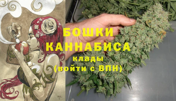 мет Лагань