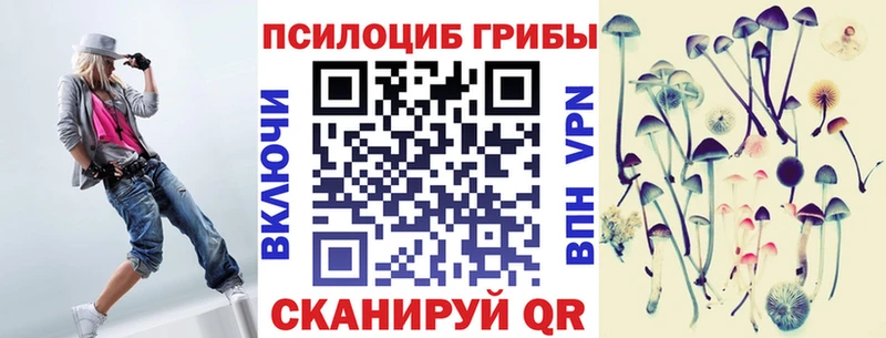 Псилоцибиновые грибы Psilocybine cubensis  Унеча 
